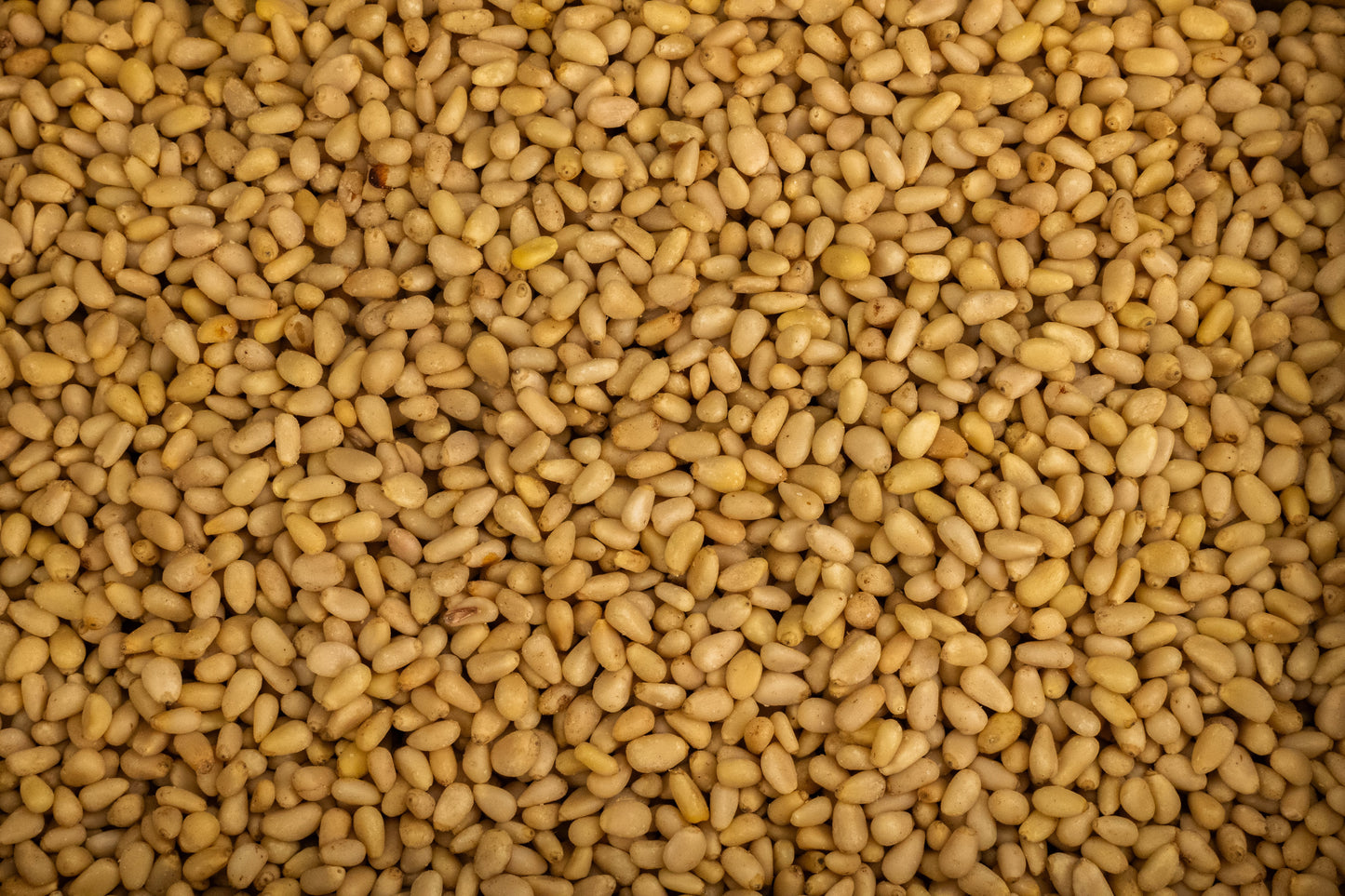 Pine Nuts Raw