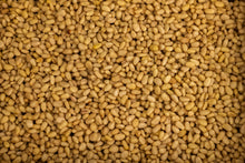 Load image into Gallery viewer, Pine Nuts Raw