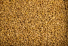 Pine Nuts Raw