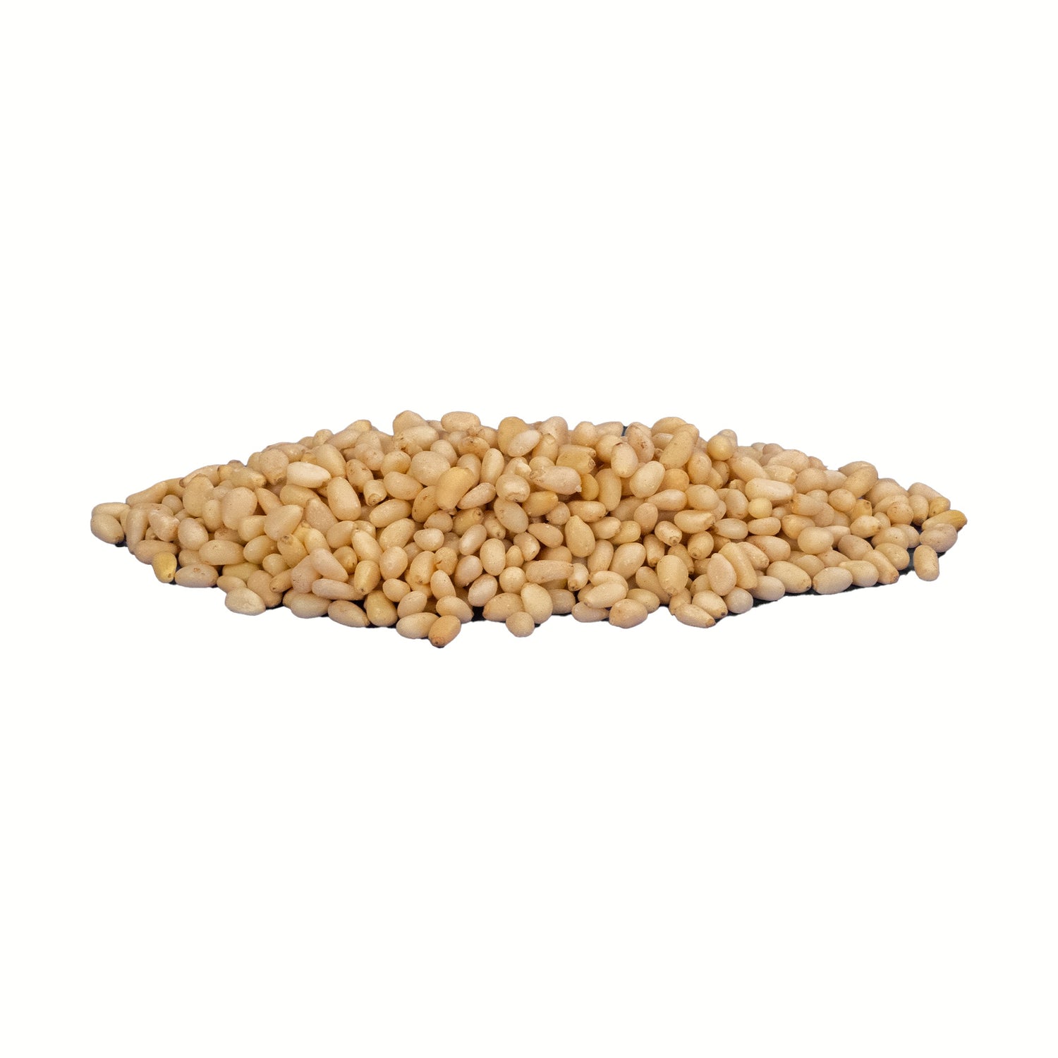 Pine Nuts Raw