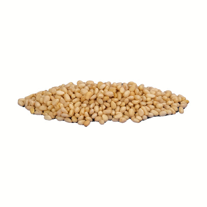 Pine Nuts Raw