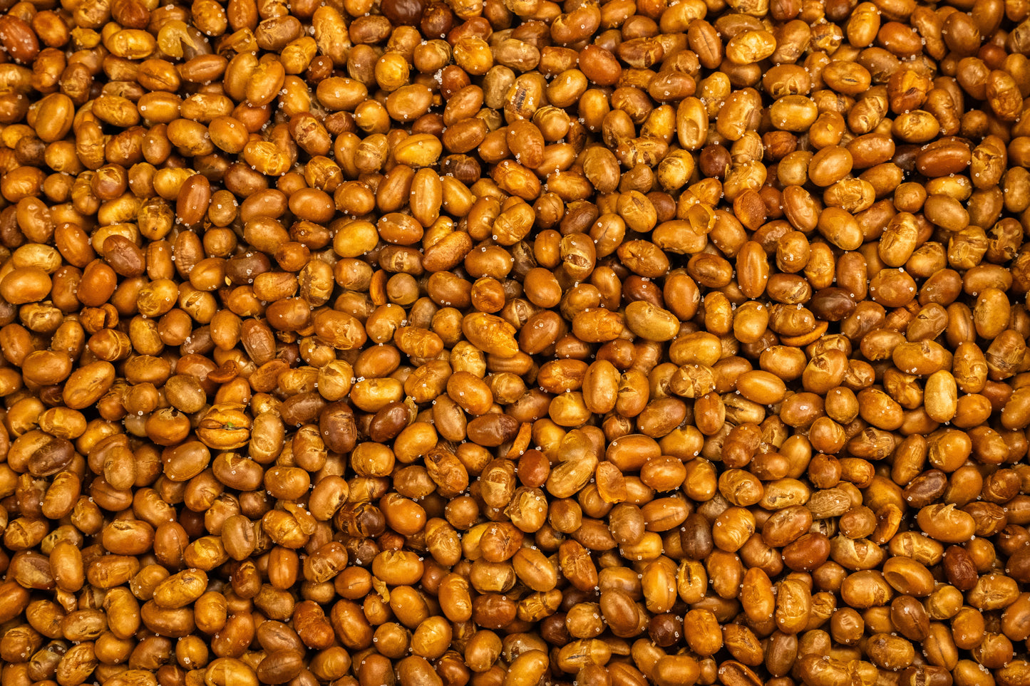 Soy Nuts Roasted and Salted