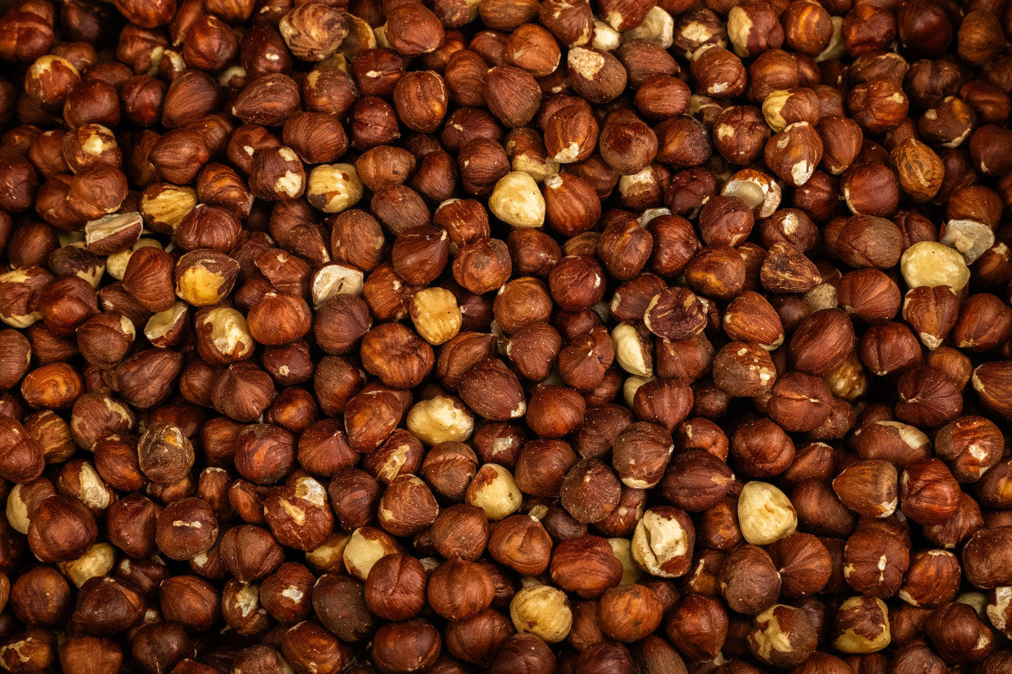 Filberts/Unblanched Hazelnuts Raw