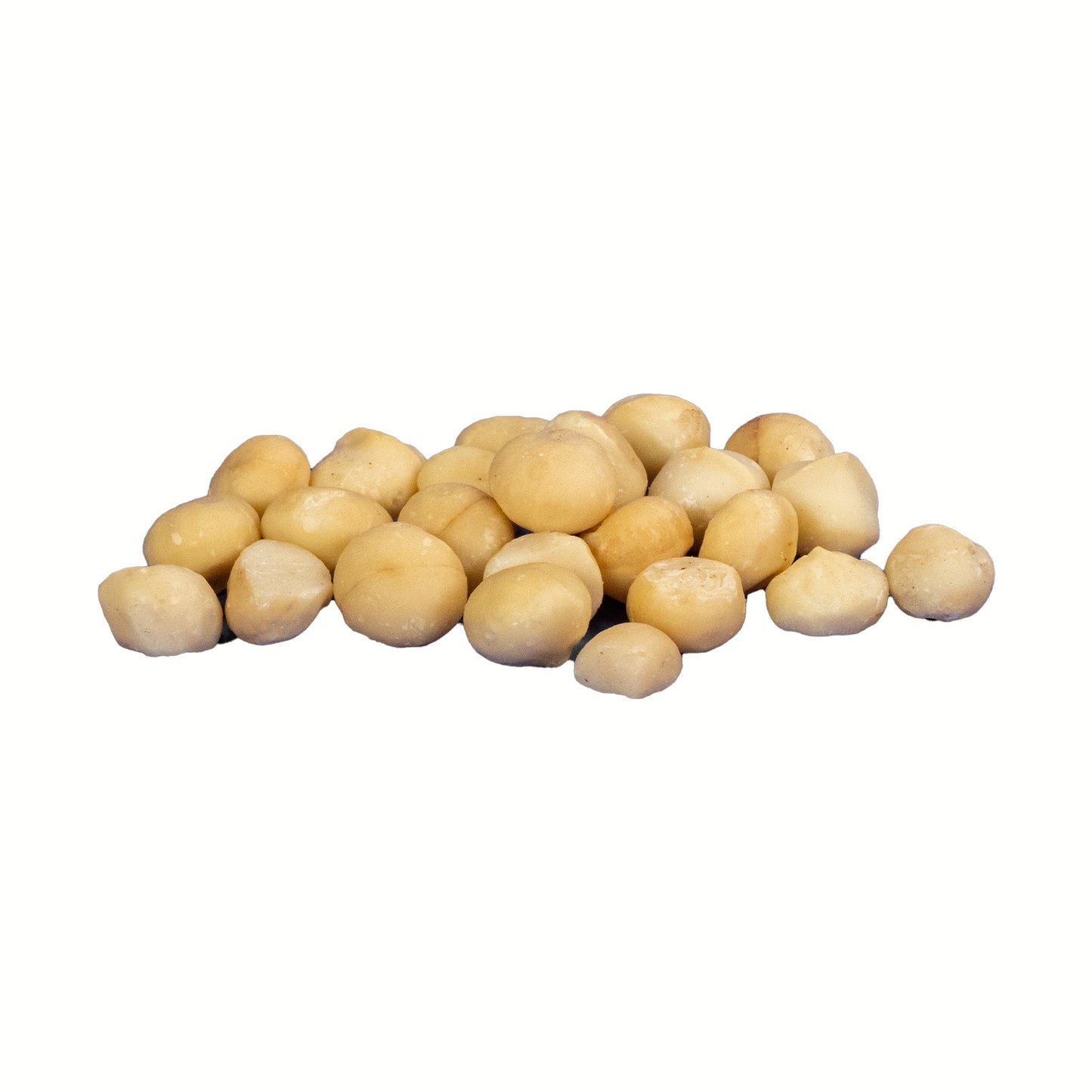 Macadamia Nuts Raw